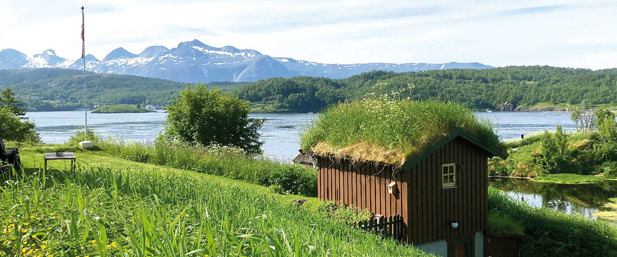 Farmland in Bodø, Norway
